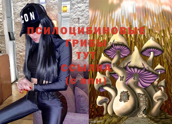 амфетамин Белокуриха