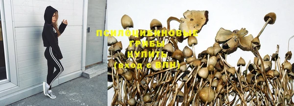 экстази Богданович
