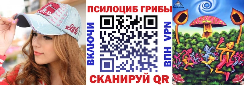 Псилоцибиновые грибы Psilocybe  что такое   Клинцы 